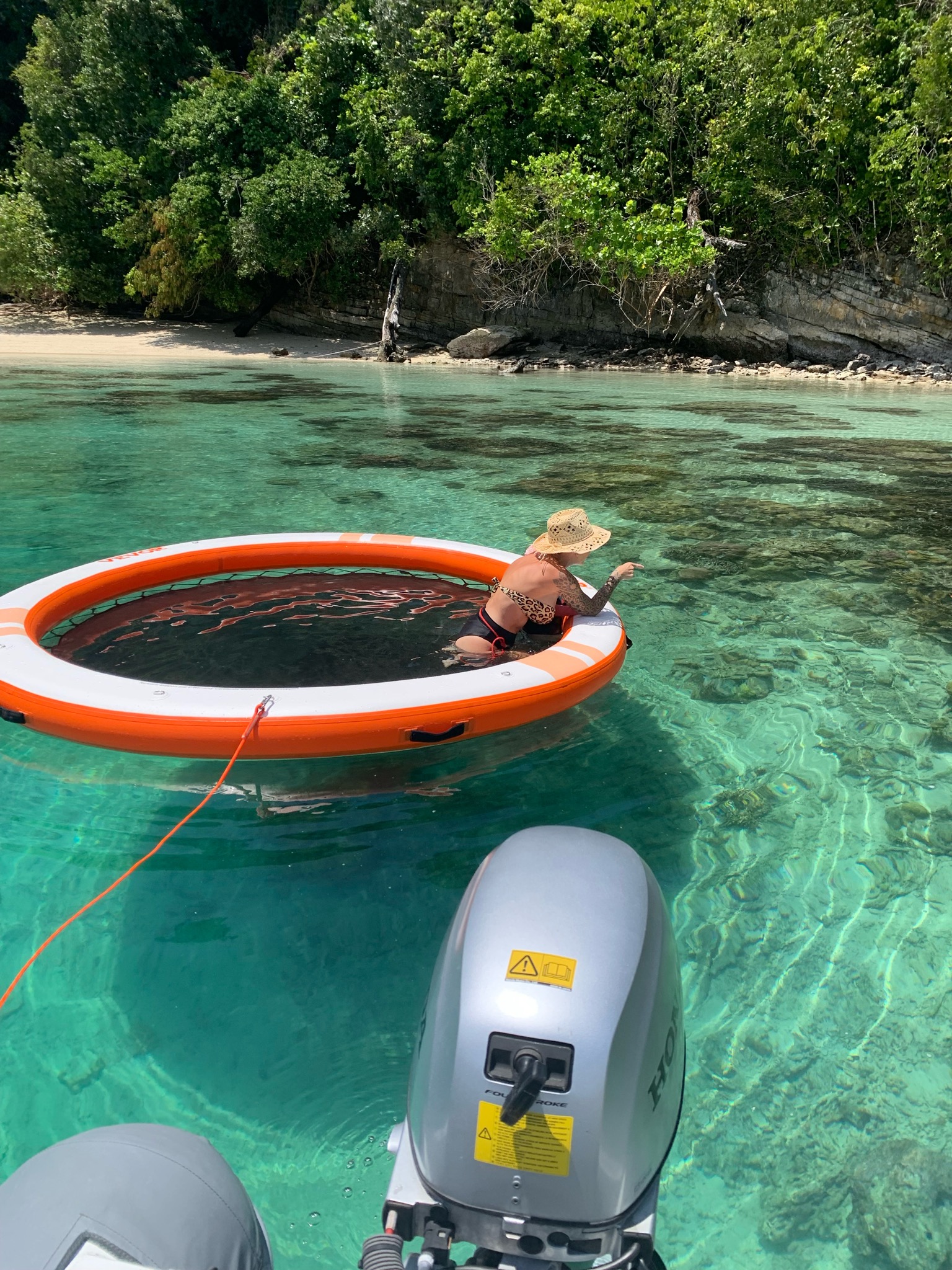 Jess Turtle Jess Phillips | Turtle Cove to Pulau Darum | SeaPeople App